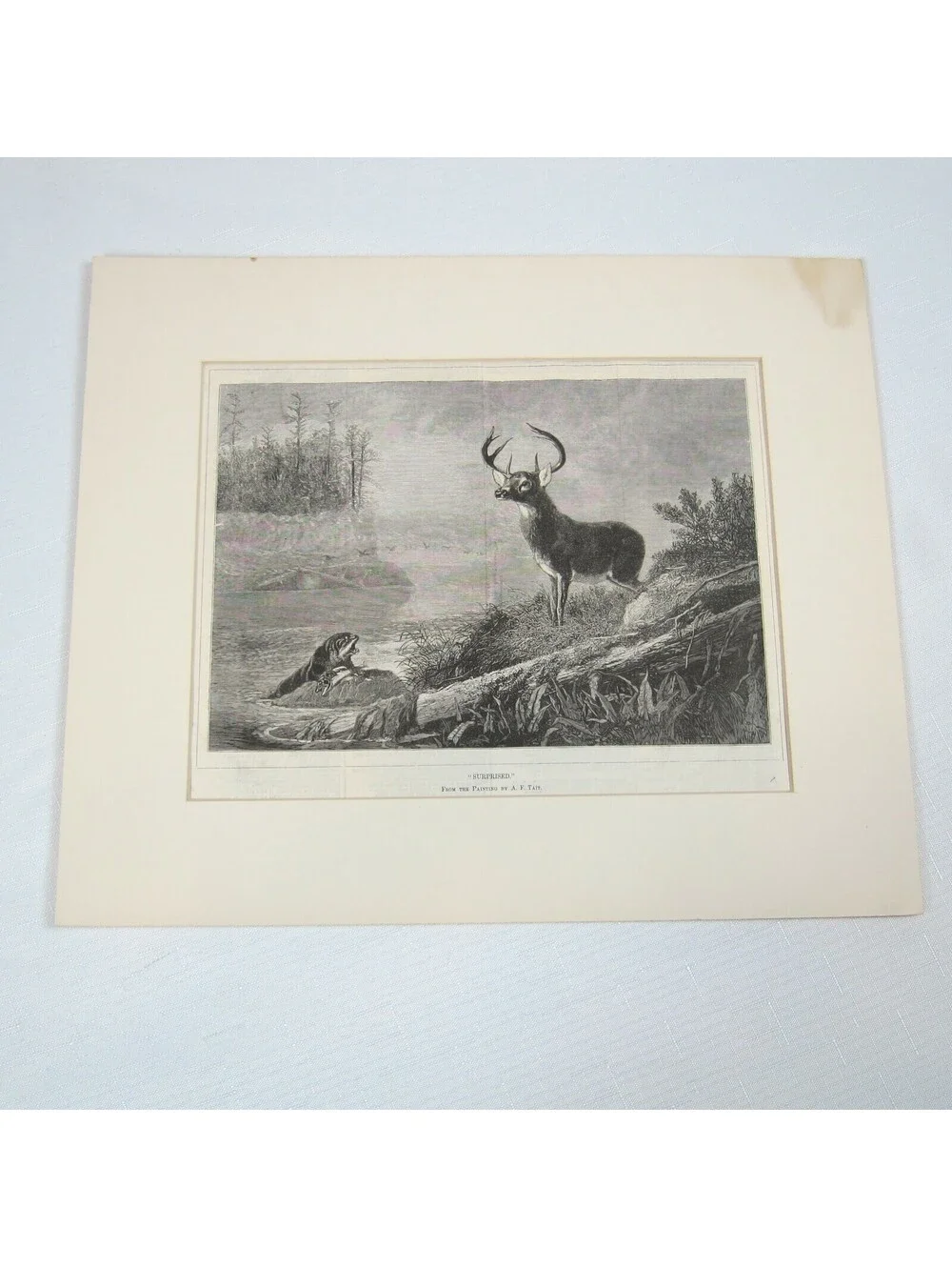 Antique 1800s Lake Deer Stag & Otter Print 
